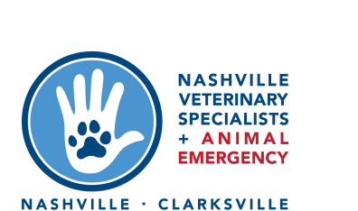 Nashville Veterinary Specialists-HeaderLogo